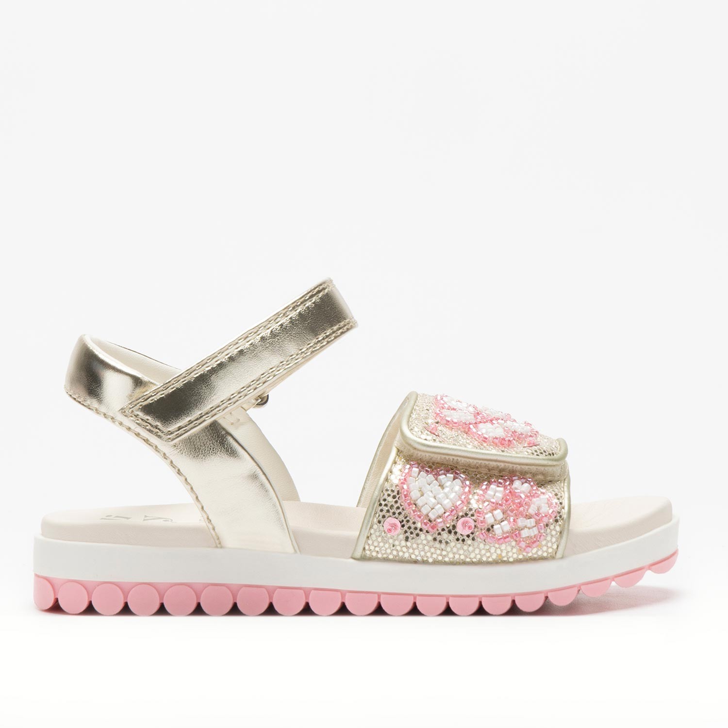 CRESSIDA ROLLY SOLLY