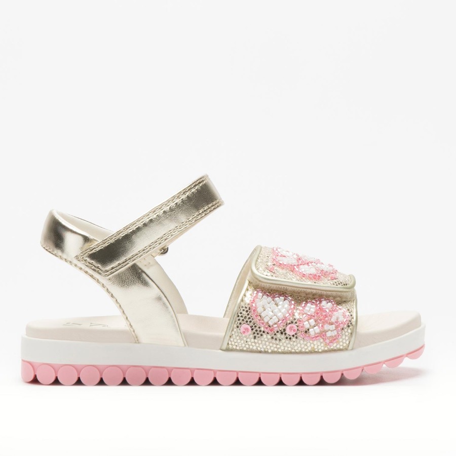 CRESSIDA ROLLY SOLLY