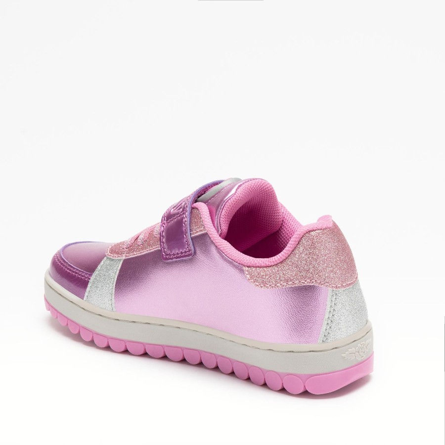 MILLE STELLE ROLY SOLY MILLE STELLE ROLY SOLY